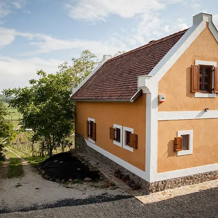 Diófás Maison d'hôtes Hegymagas